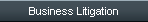 Business Litigation